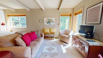 A cozy living room with a sofa, armchair, and a TV on a wooden cabinet. There are two windows with curtains, a floor lamp, and a rug.