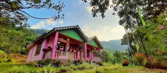 Farmstay @ Chhota Mungwa, Darjeeling For Family, Friends & Furry Friends.
