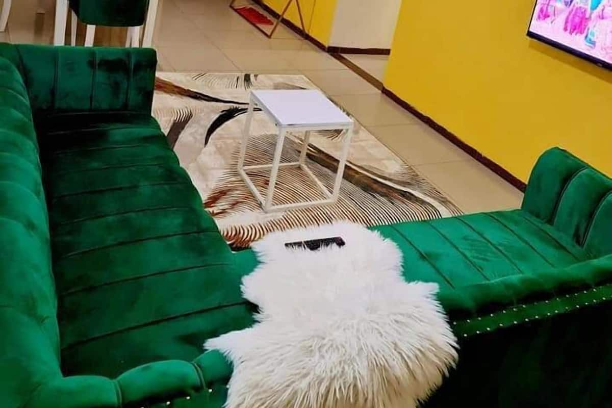 Deluxe Apartment | Ruang tamu | 24 inci sebuah televisyen pintar dengan digital