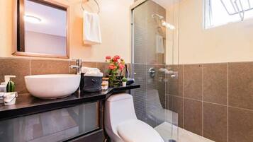 Shower, hair dryer, towels, shampoo