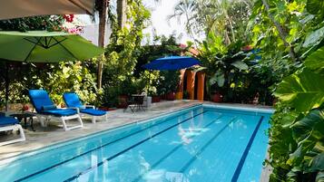 Alberca al aire libre, sombrillas en la alberca y camastros