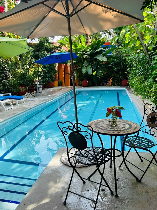 Una piscina al aire libre, sombrillas, sillones reclinables de piscina