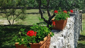 A stone wall with terracotta planters containing red flowers.