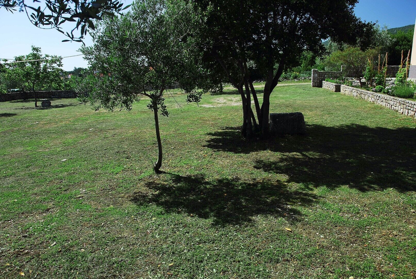 Un espacio al aire libre con césped, árboles y un muro de piedra.