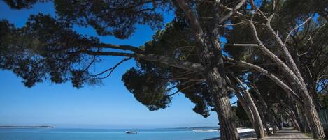 Platja