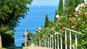 A woman walking a dog on a paved path with a railing, overlooking a body of water and a sailboat in the distance.