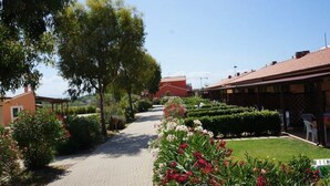 A pathway lined with neatly trimmed hedges and flowering plants, leading to a building with a tiled roof. - Residence Rosa dei Venti Bungalow Grecale for 4 persons (Rosignano Marittimo)