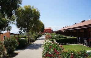 Property grounds - Residence Rosa dei Venti Bungalow Grecale for 4 persons (Rosignano Marittimo)