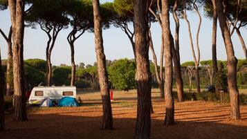 Parco della struttura