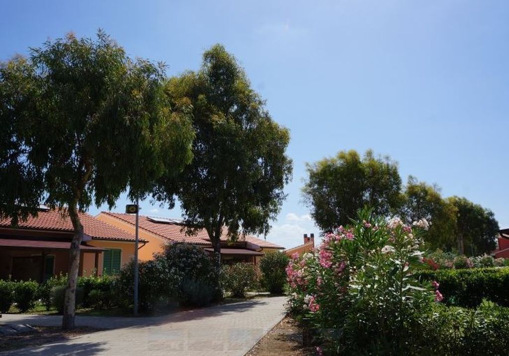 A residential area with a paved pathway, houses with red-tiled roofs, and lush greenery including trees and flowering bushes.