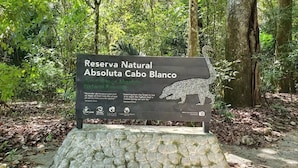 Skilt for Reserva Natural Absoluta Cabo Blanco, med illustration af en jaguar og tekst om at lære af skoven.