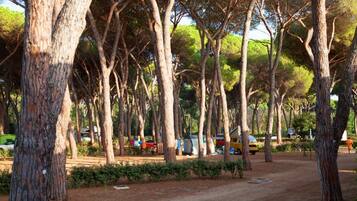 Enceinte de lâhĂ©bergement