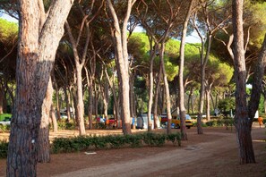 Property grounds - Ferienanlage Capitol Baia Elite für 6 Personen (Ostia Antica)
