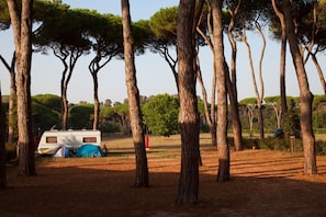 Parco della struttura
