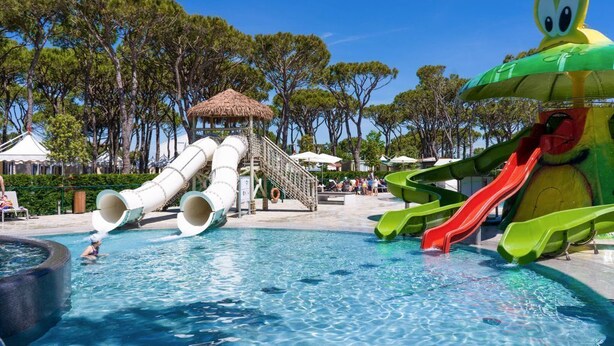 A swimming pool with slides and a large frog decoration.