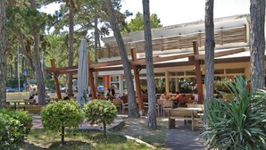 Un café al aire libre con mesas y bancos de madera, rodeado de árboles y follaje.