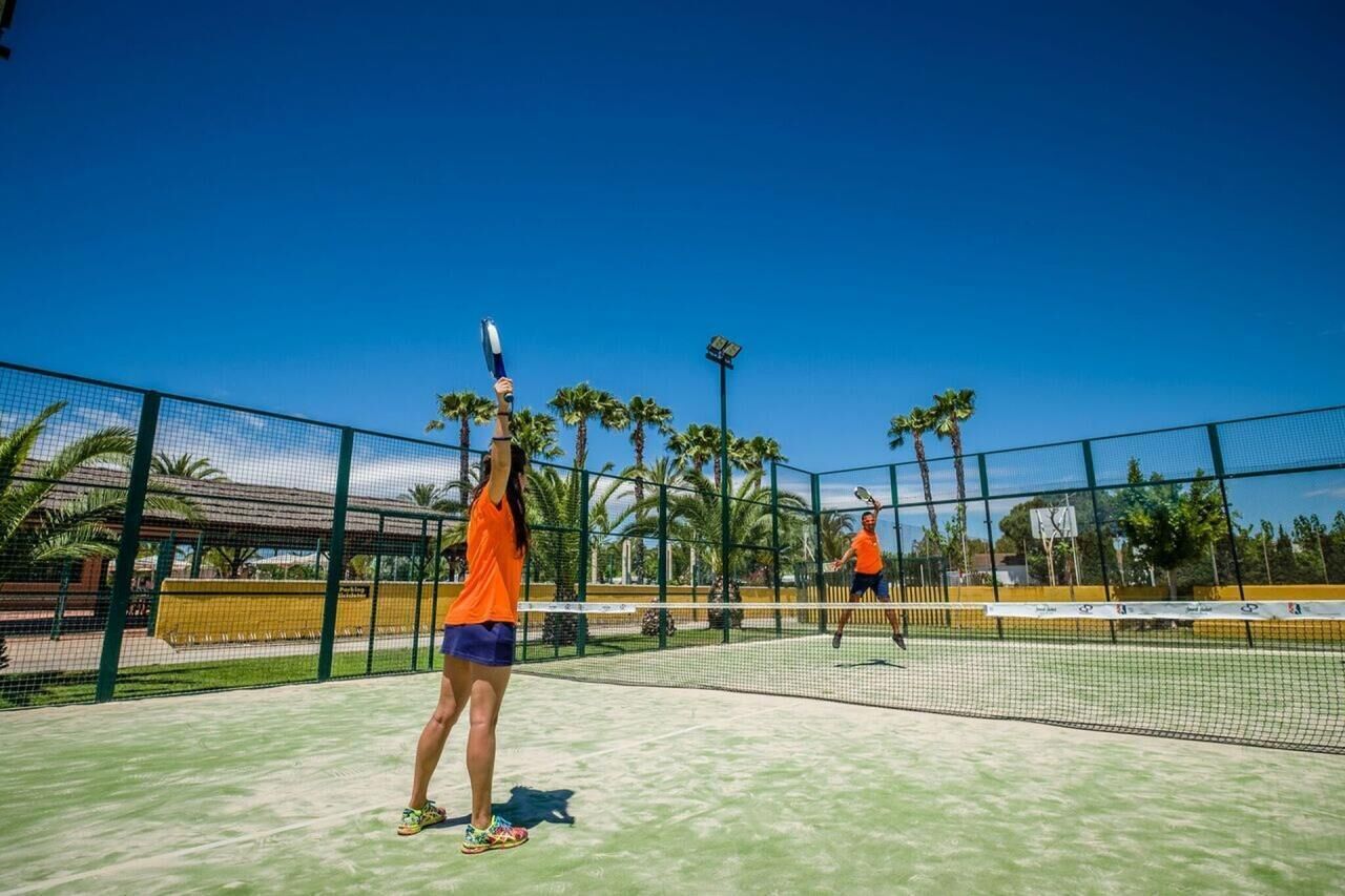 A tennis court with a net, palm trees, and a clear blue sky.