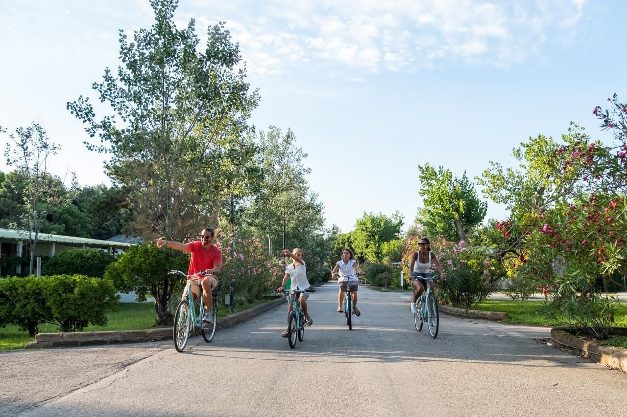 Cuatro personas paseando en bicicleta por un camino pavimentado rodeado de follaje y árboles.