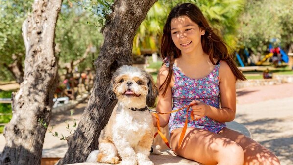A person sitting on a bench with a dog, in a park with trees and a playground in the background.