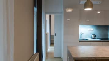 Apartment with Air Conditioning