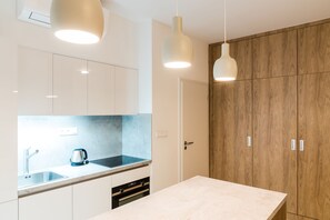 Private kitchenette - City Castle Apartments Free Parking (Bratislava)