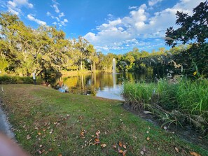 Overnatningsstedets område