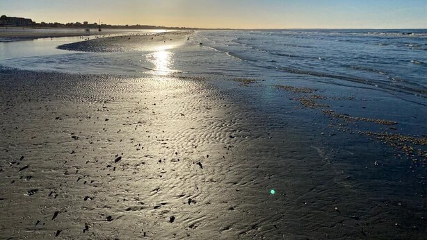 A beach with a curved shoreline, calm water, and a clear sky. - Appartement T2 Refait à Neuf (Cabourg)