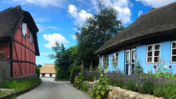 Een smalle straat met traditionele huizen, waarvan er één een rode gevel heeft en de andere een blauwe, omgeven door weelderige begroeiing en bloemen.