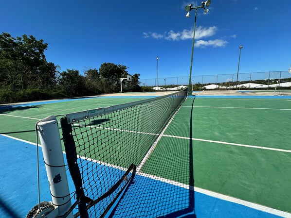 Campionat de tennis amb xarxa, envoltat d'arbres i un cel blau clar.