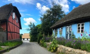 Eksteriør