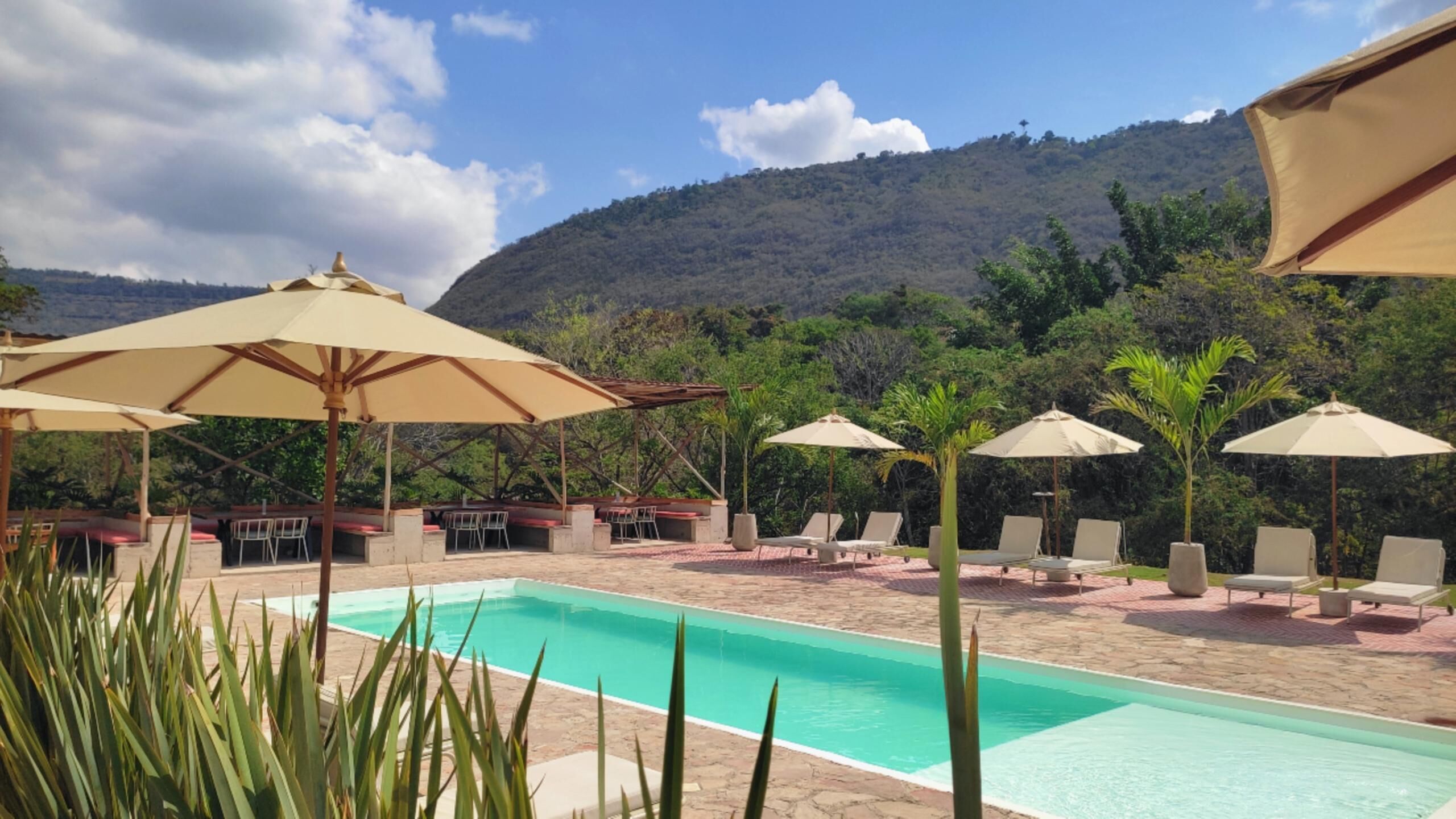 Zona de piscina con sillas de descanso y sombrillas, rodeada de vegetación y un paisaje montañoso.