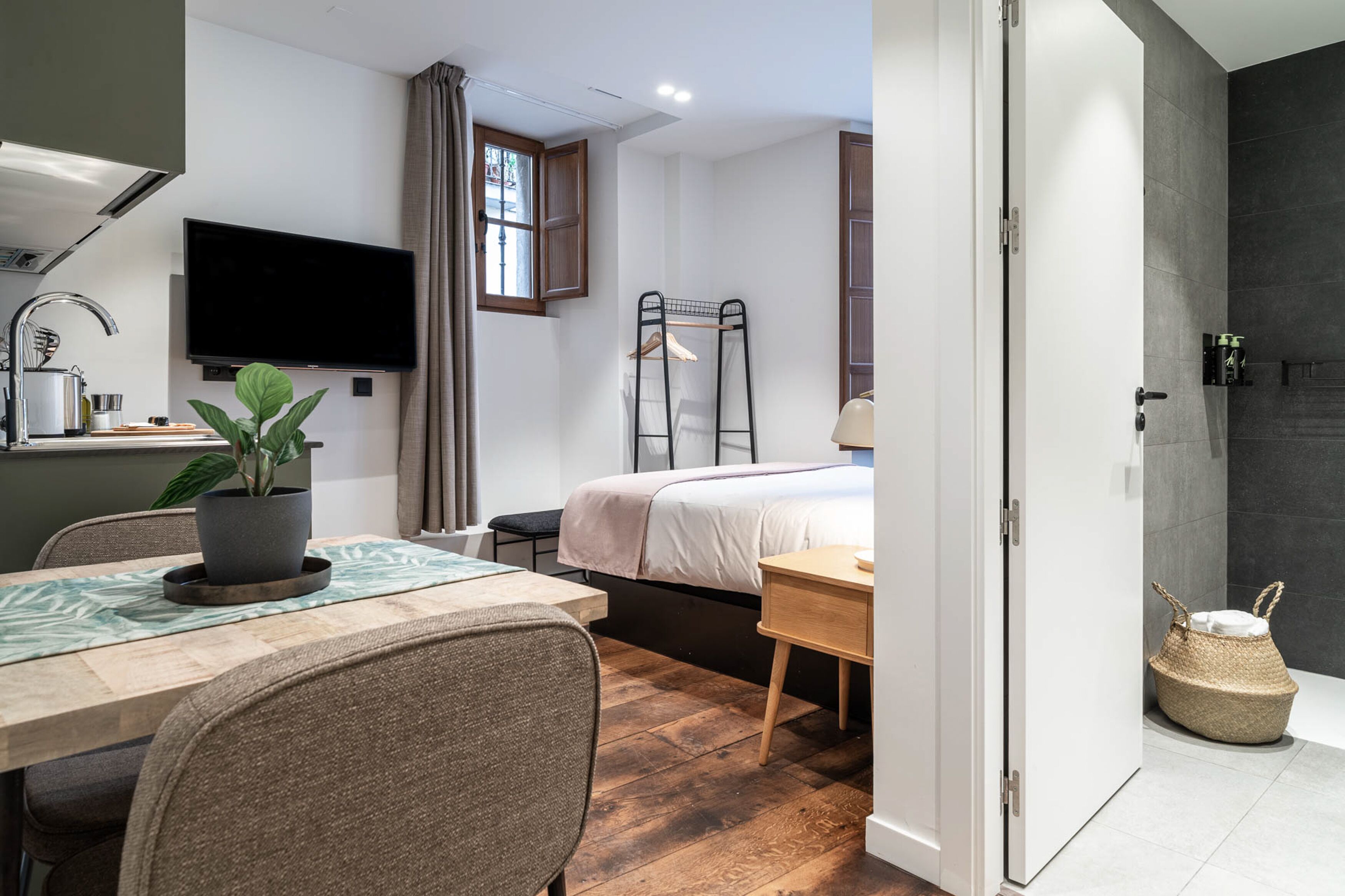 Een moderne kamer met een bed, bureau, televisie, een kamerplant en een douche.