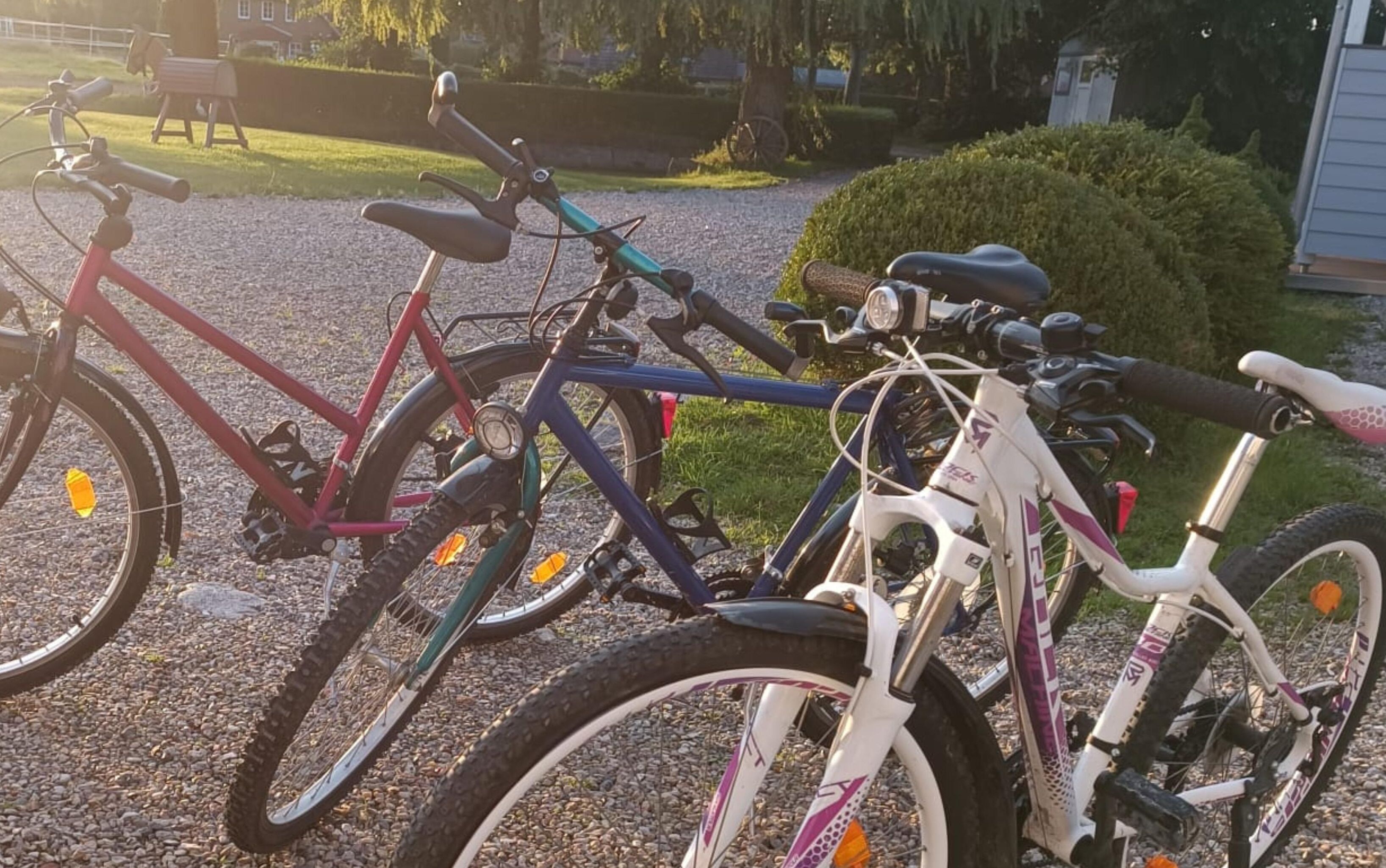 Un chemin de gravier bordé de vélos garés.