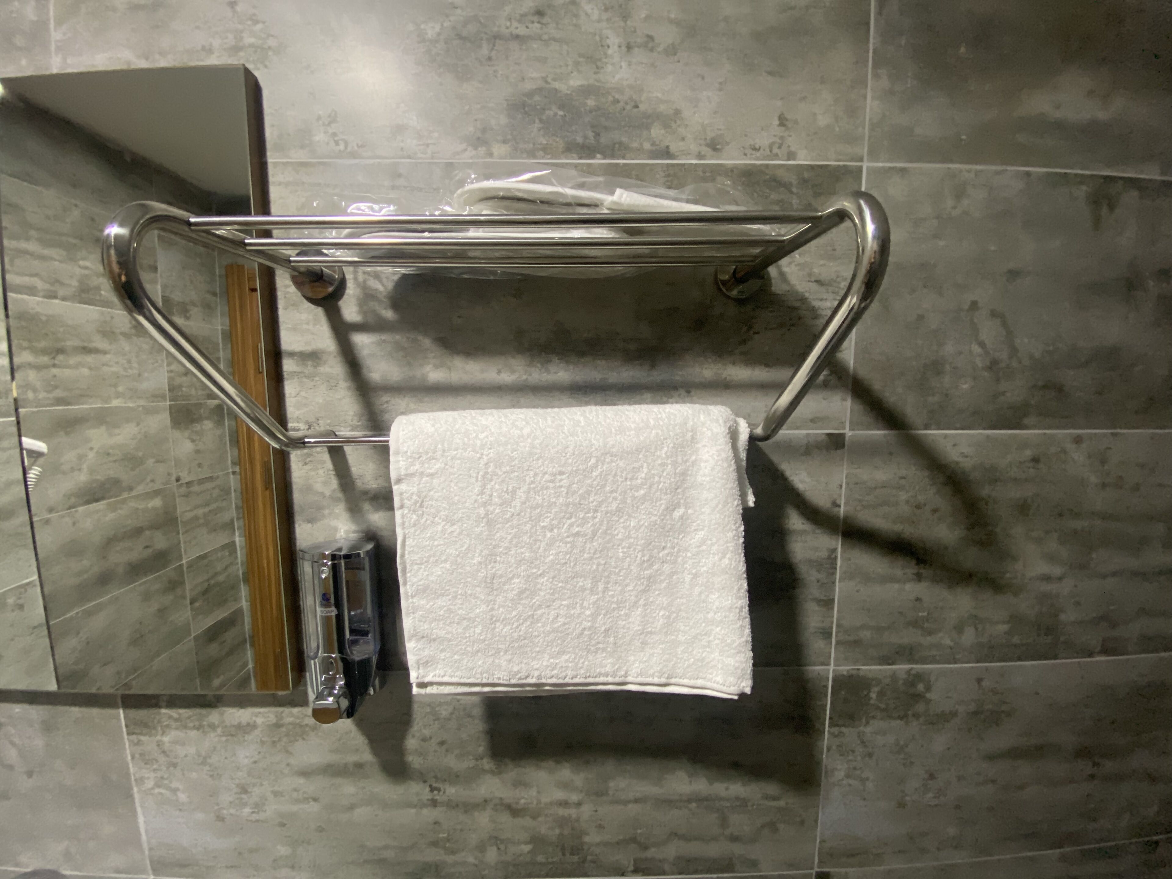A bathroom with a towel rack holding a white towel, a mirror, and a showerhead.