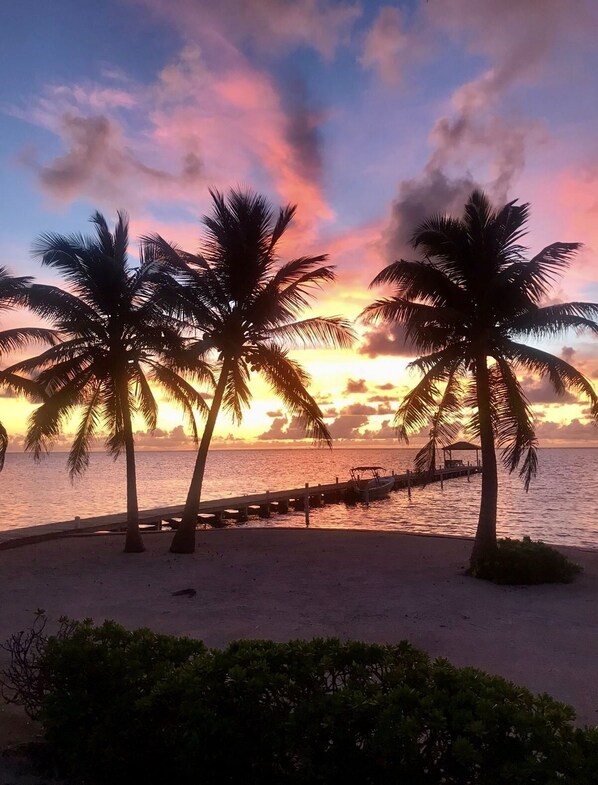 A beach with palm trees and a wooden pier extending into the water during sunset. - Amazing View from 3rd Floor Condo (San Pedro)