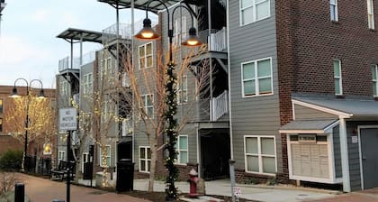 Beautiful Condo in Downtown Lynchburg