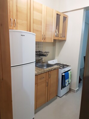 Exclusief appartement | Privékeuken | Een koelkast/vriezer, een magnetron, een oven