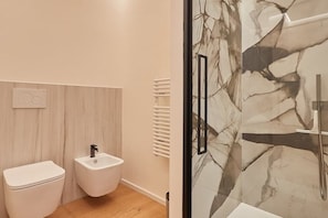 Shower, hair dryer, bidet, towels