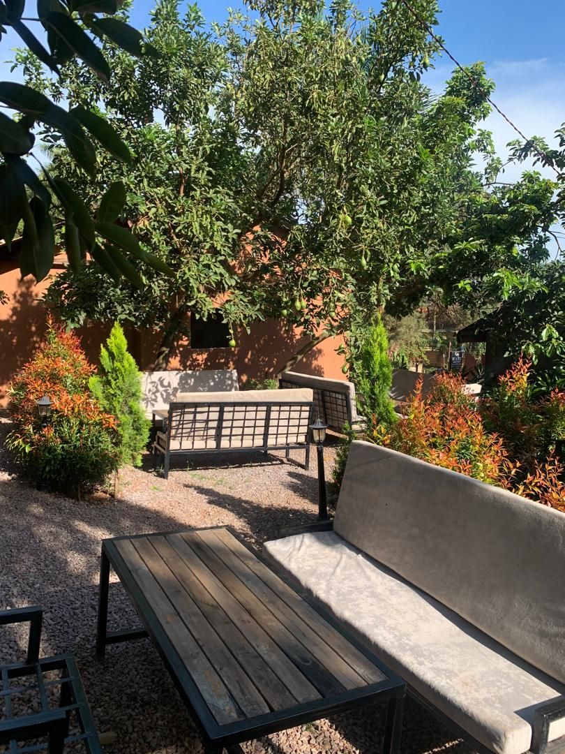 An outdoor seating area with a wooden table and two benches, surrounded by various plants and trees.