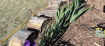 Goat Hill Orchard - Family & Pet Friendly ; Level 2 EV Charging Outlet BYOCC