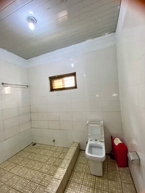 Dusj, dusjhode med hydromassaje, toalettartikler (inkludert) og håndklær