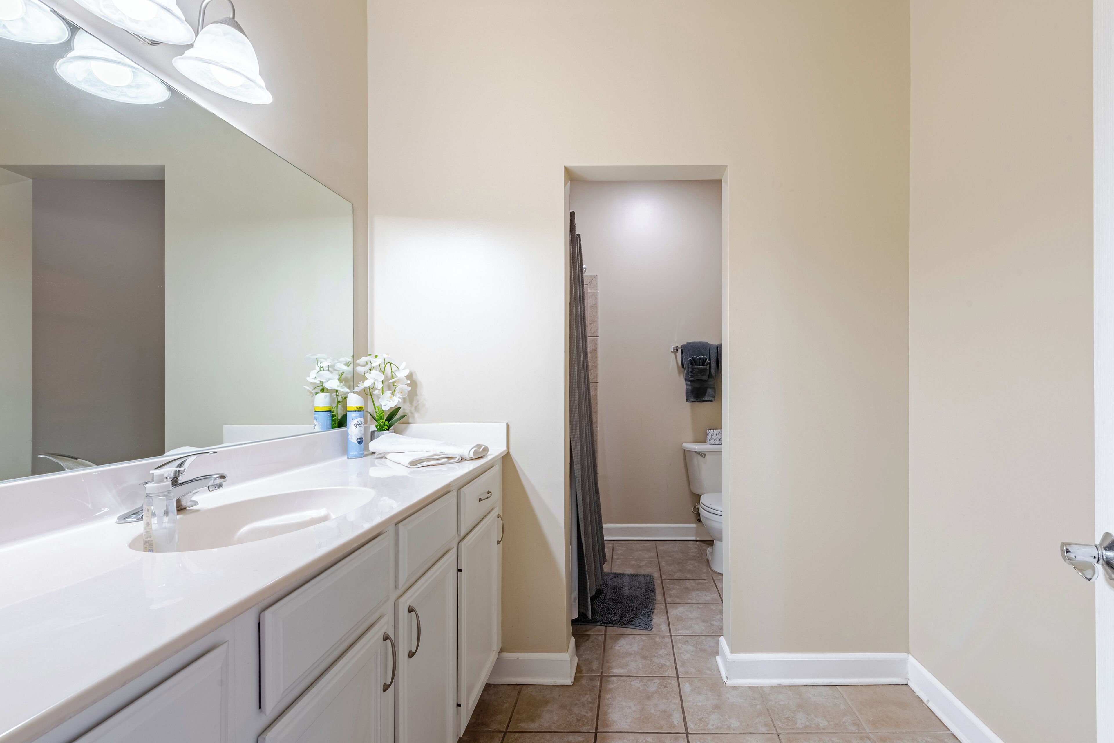 Eco-friendly toiletries, hair dryer, towels, soap