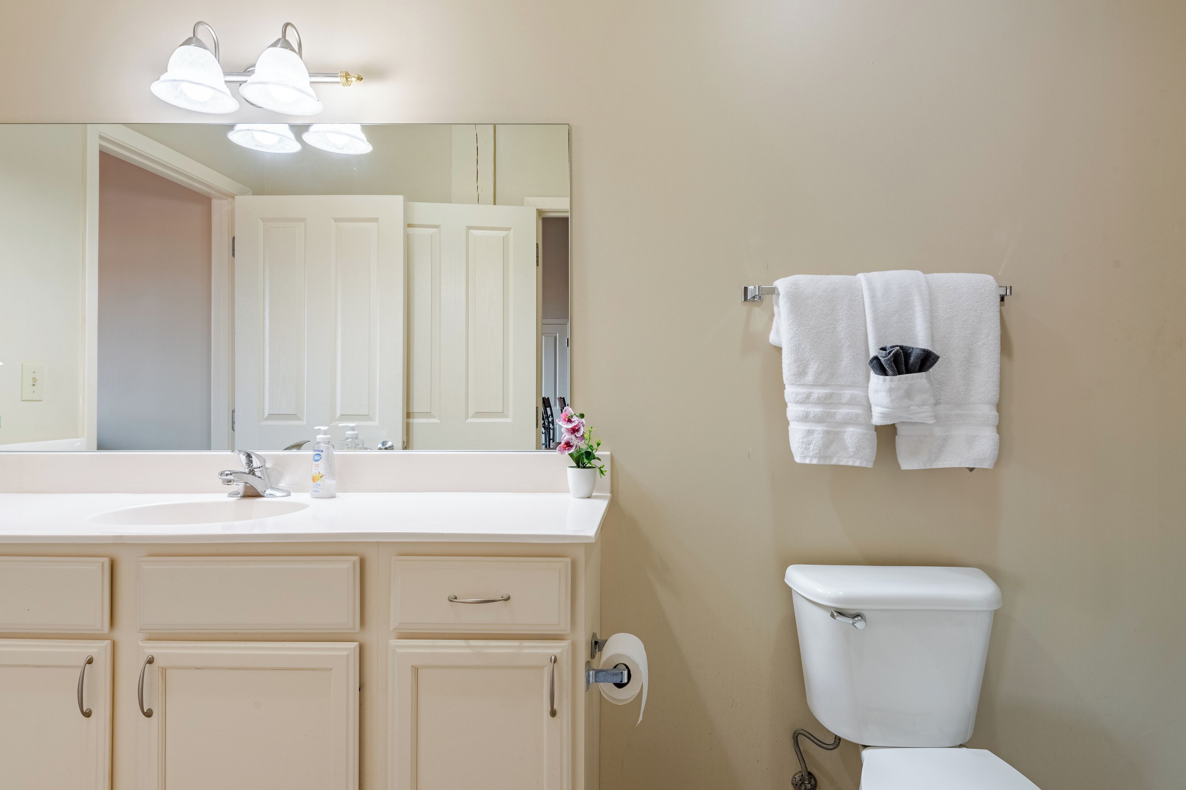 Un bagno con lavandino bianco, uno specchio, un WC e un porta asciugamani.