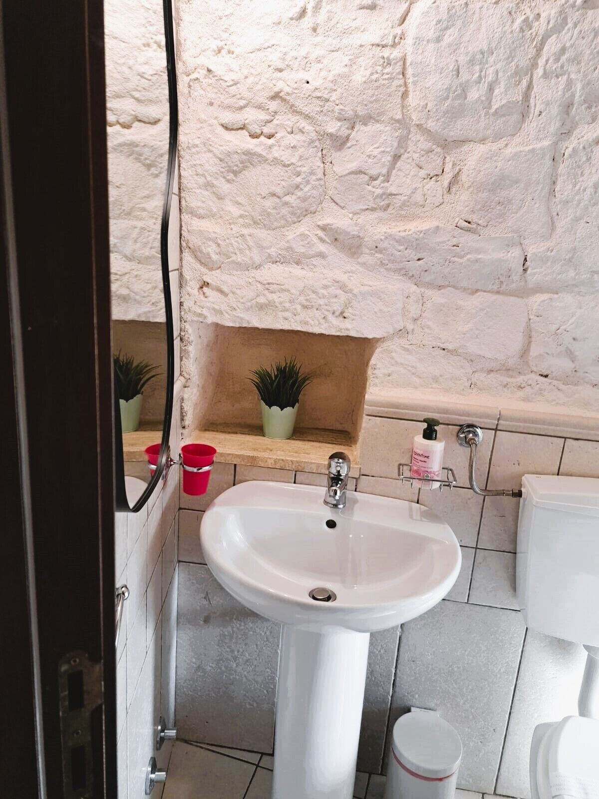 Ein Badezimmer mit Waschbecken, Spiegel, rotem Eimer, einer kleinen Pflanze und Toilette.