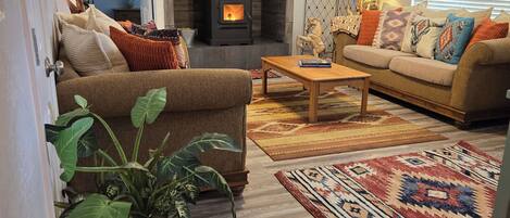 Smart TV, fireplace, DVD player, video library