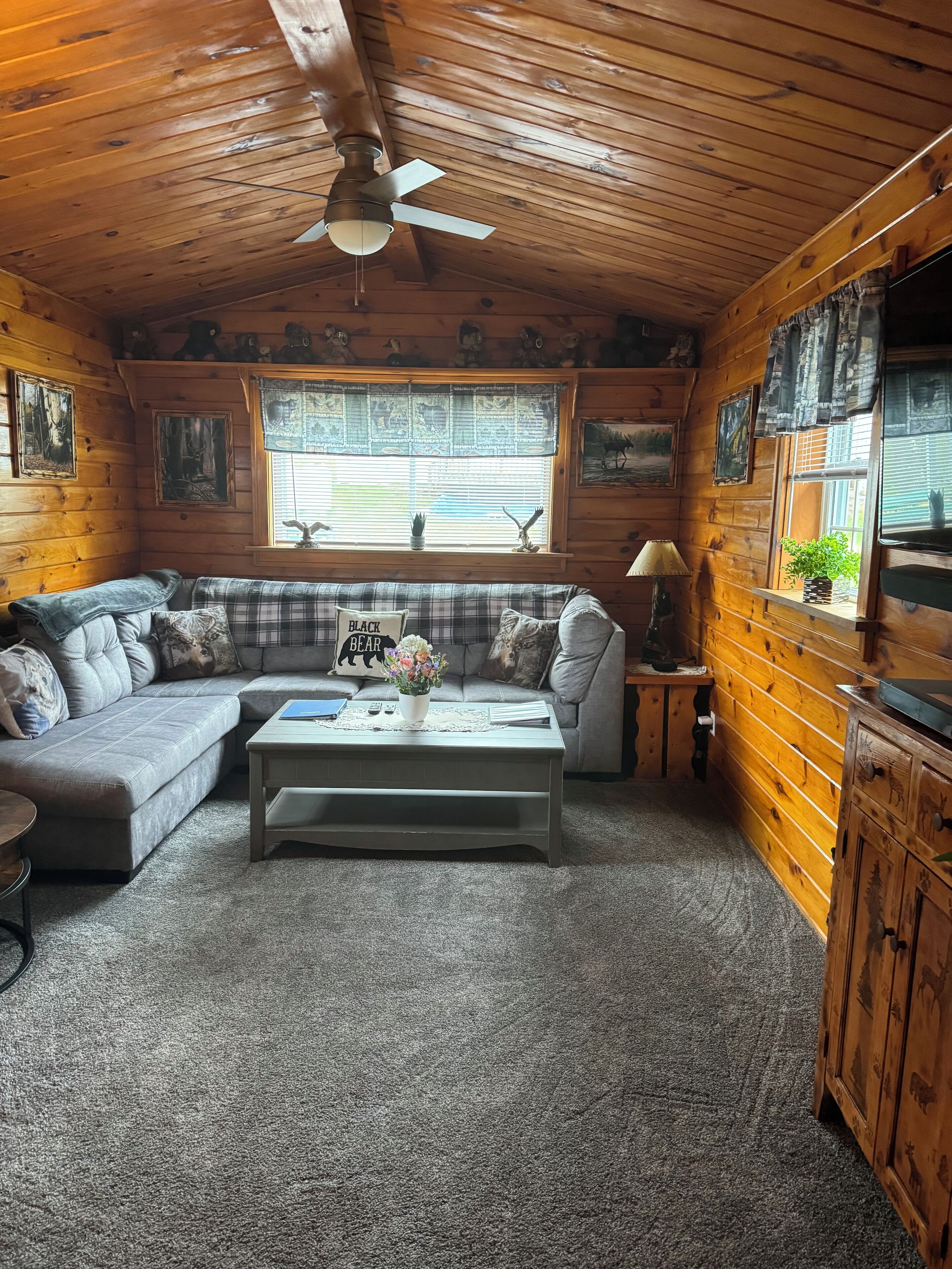 TV, fireplace