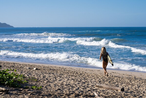 サーフィン / ボディボード