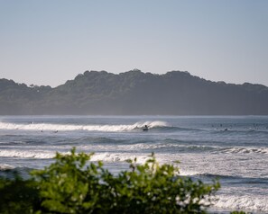 Surf