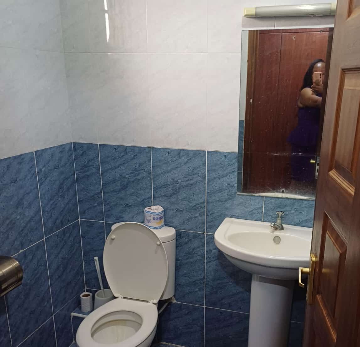 A bathroom with a toilet, sink, and mirror.