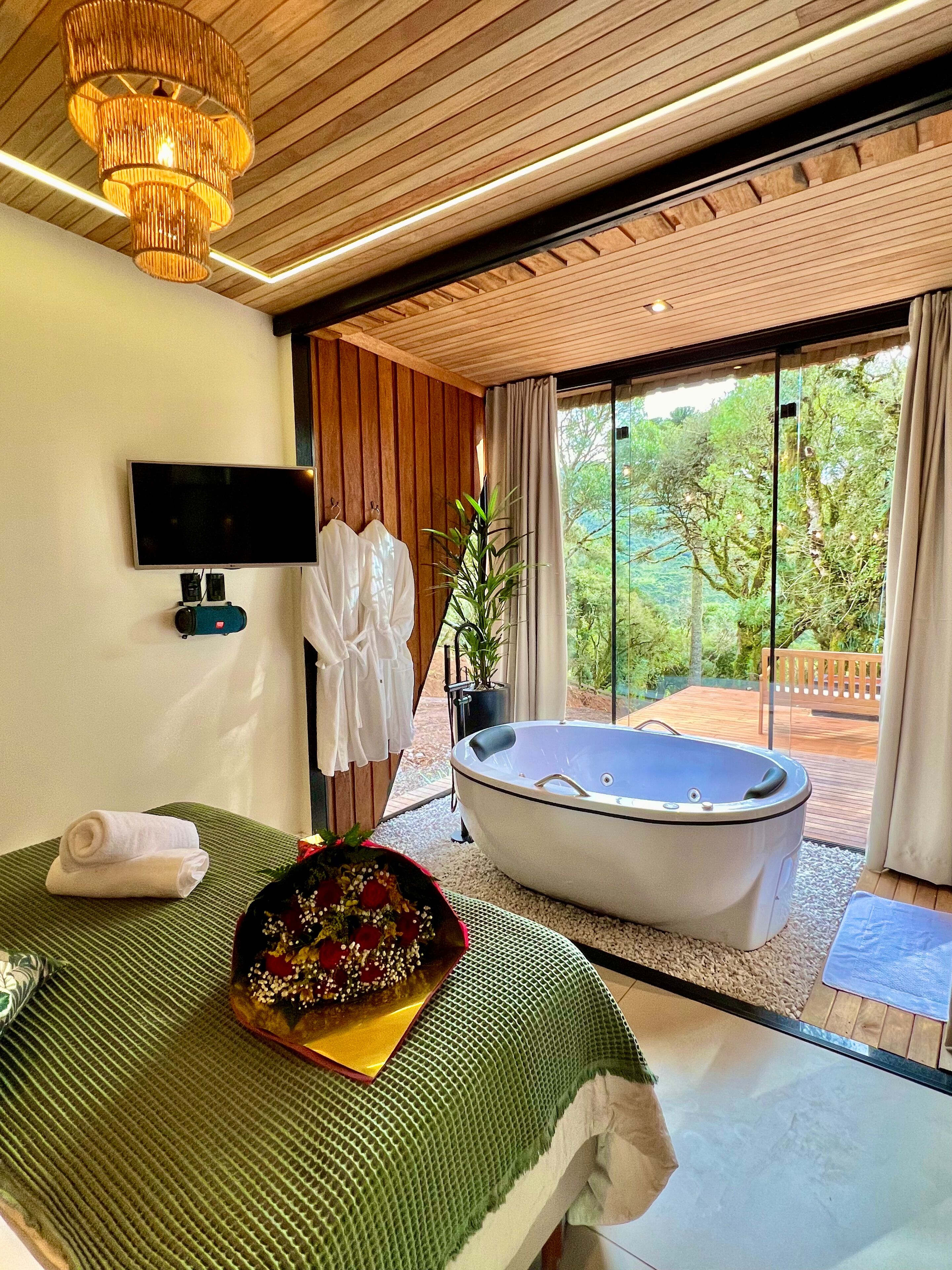 A modern hotel room with a large bed, a jacuzzi, a TV, and a view of the outdoors.